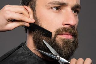 WhatsApp Image 2024-03-25 at 17.34.51