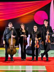 WhatsApp Image 2023-04-26 at 15.06.43