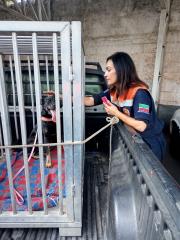 WhatsApp Image 2022-07-25 at 17.46.36