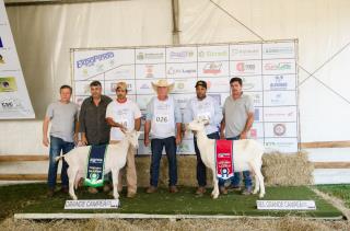 WhatsApp Image 2022-10-25 at 17.35.29