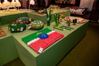 WhatsApp Image 2024-11-26 at 17.42.45