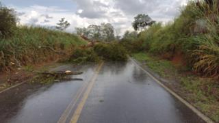 WhatsApp Image 2021-01-27 at 17.57.48