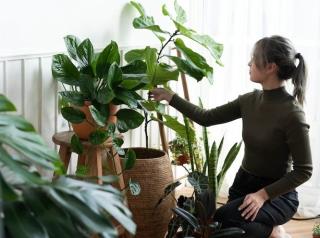 WhatsApp Image 2022-04-28 at 12.06.21