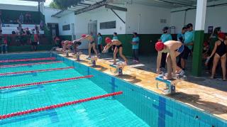 WhatsApp Image 2025-04-28 at 12.19.31