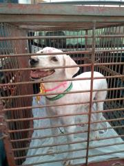 WhatsApp Image 2020-11-28 at 13.37.18