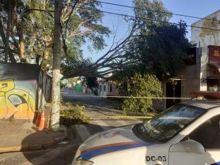 WhatsApp Image 2022-04-29 at 08.04.35