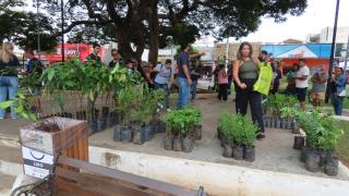 WhatsApp Image 2024-05-29 at 11.31.33