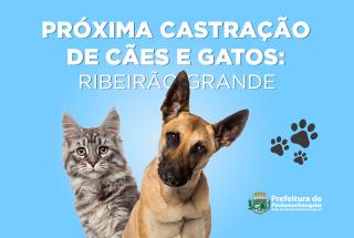 Matéria-Castração