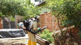 WhatsApp Image 2024-01-29 at 18.59.50