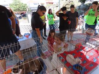 WhatsApp Image 2024-04-29 at 15.22.13 (1)