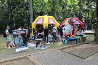 WhatsApp Image 2025-03-31 at 17.42.40