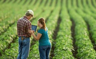 WhatsApp Image 2022-05-30 at 17.42.29