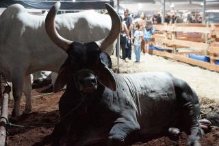 WhatsApp Image 2023-10-30 at 18.54.13 (1)