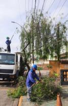 WhatsApp Image 2025-06-04 at 16.13.12