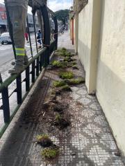 WhatsApp Image 2025-05-06 at 17.24.30 (1)