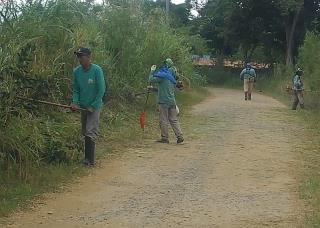 WhatsApp Image 2025-04-08 at 17.19.41