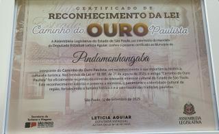 WhatsApp Image 2025-09-15 at 15.58.20