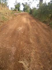 Serviços de conservação 