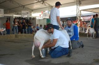 WhatsApp Image 2022-11-17 at 11.50.44 (1)