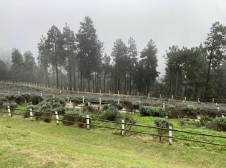 Turismo faz visita tecnica