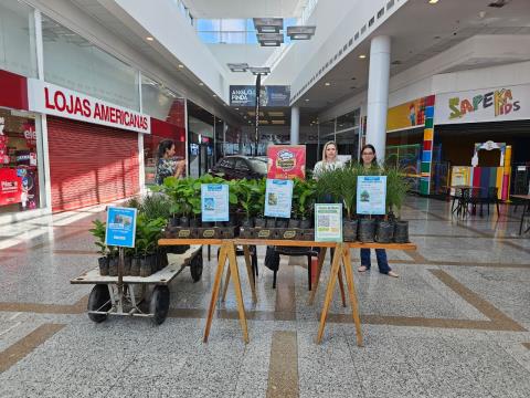 WhatsApp Image 2026-03-23 at 17.14.04