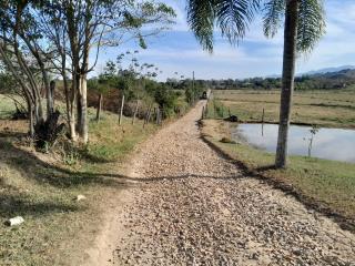 WhatsApp Image 2025-07-29 at 17.26.34