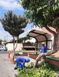 WhatsApp Image 2025-09-02 at 12.16.13