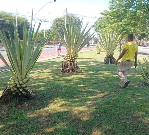 WhatsApp Image 2025-12-03 at 18.07.11