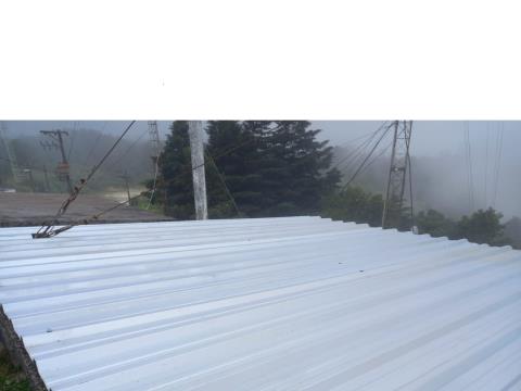 WhatsApp Image 2025-12-04 at 17.21.47