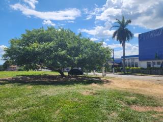 WhatsApp Image 2025-03-11 at 17.21.30