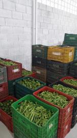 WhatsApp Image 2026-03-12 at 15.34.26