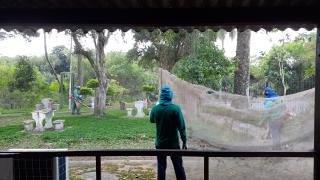 limpeza paisagistica