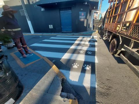 WhatsApp Image 2026-03-25 at 17.27.29