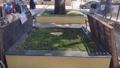 WhatsApp Image 2025-11-28 at 16.37.43