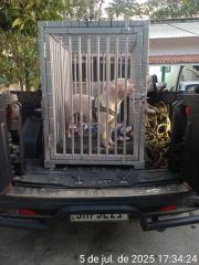 WhatsApp Image 2025-07-07 at 13.22.21