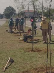 WhatsApp Image 2025-04-17 at 16.40.10 (1)