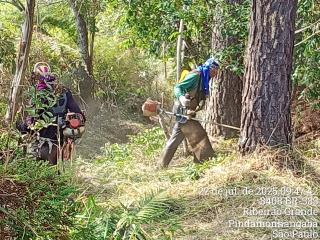 WhatsApp Image 2025-07-24 at 17.07.16