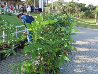 WhatsApp Image 2025-05-29 at 16.21.15