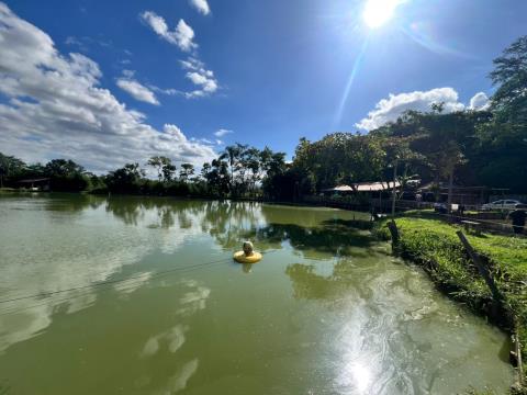 WhatsApp Image 2026-03-03 at 17.14.11