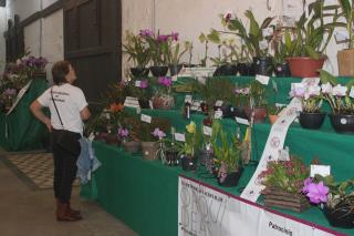 WhatsApp Image 2025-07-14 at 16.40.24 (1)