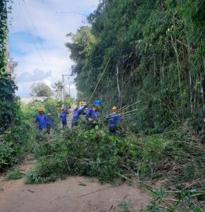 WhatsApp Image 2025-05-28 at 15.57.35