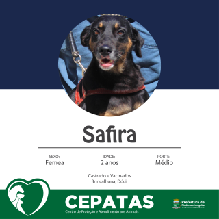 Safira-01