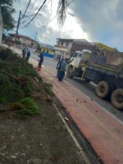 WhatsApp Image 2023-02-10 at 17.07.58