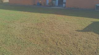 WhatsApp Image 2025-05-20 at 17.32.23