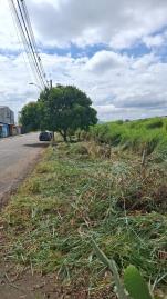 WhatsApp Image 2026-04-01 at 15.39.54