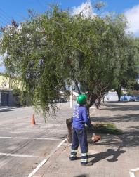 WhatsApp Image 2025-06-04 at 16.13.13