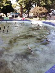 WhatsApp Image 2025-05-06 at 17.26.04