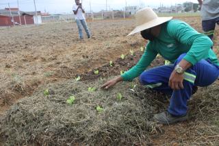Projeto Horta Comunitária é la