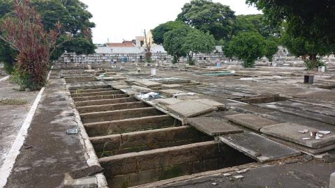 WhatsApp Image 2026-02-11 at 16.51.46