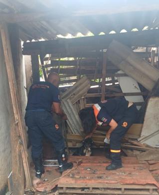 WhatsApp Image 2026-03-10 at 18.10.11